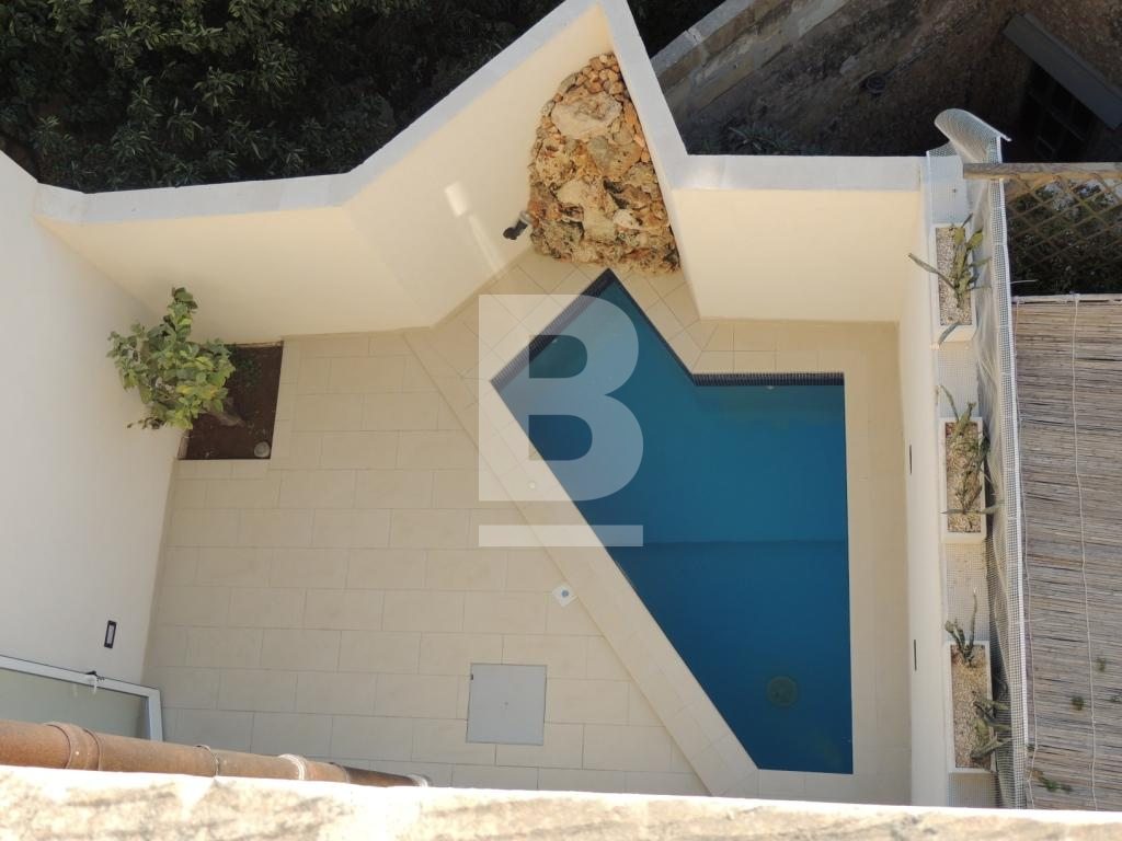 P_016139_21._Garden_from_above.J