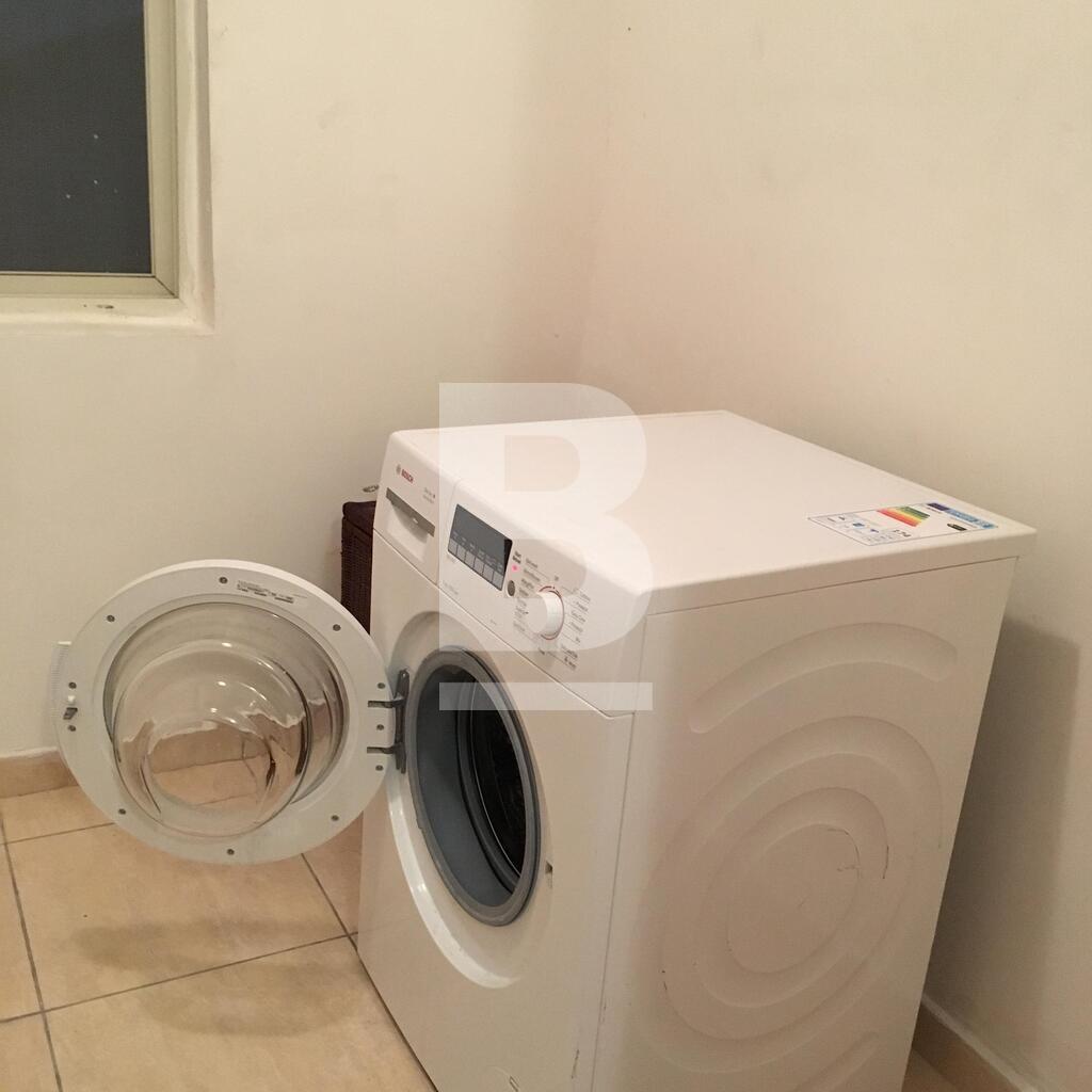 P_016782_Laundry_room_Mimosa_2.j