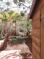 P_021605_13__Garden_Side_2.JPG