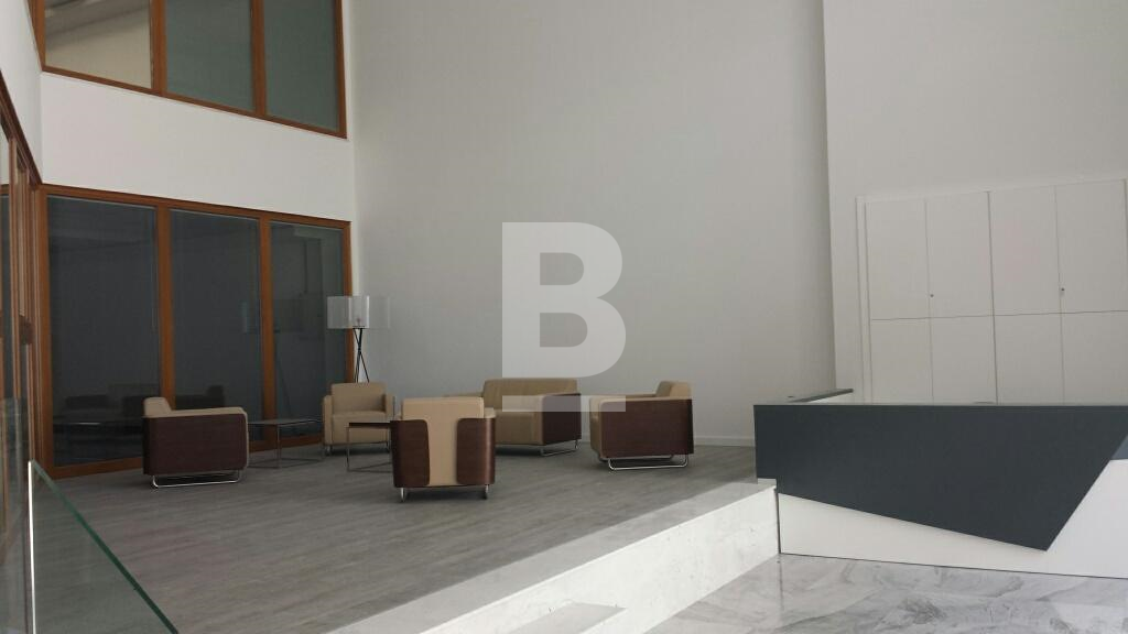 P_018286_20150805_125235_resized