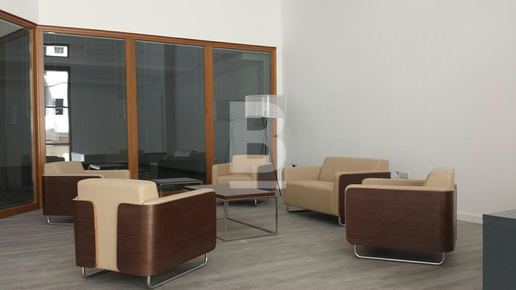 P_018286_20150805_125247_resized