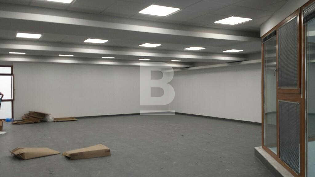 P_018286_20150805_125314_resized