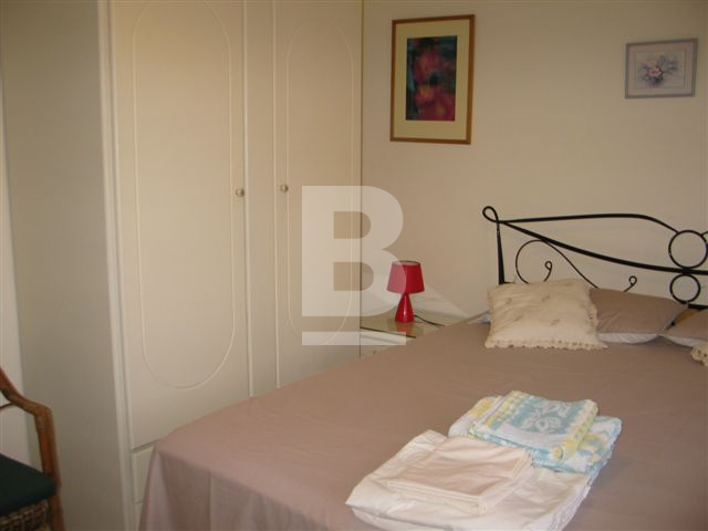 P_132473_Cycads_4_Dbl._Room.jpg