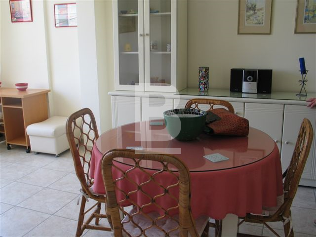 P_132473_Cycads_4_Dining_-_Sitti