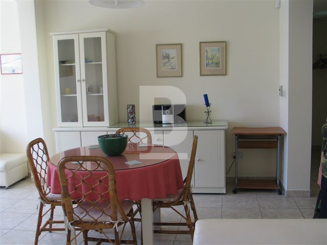 P_132473_Cycads_4_Sitting_Room.j