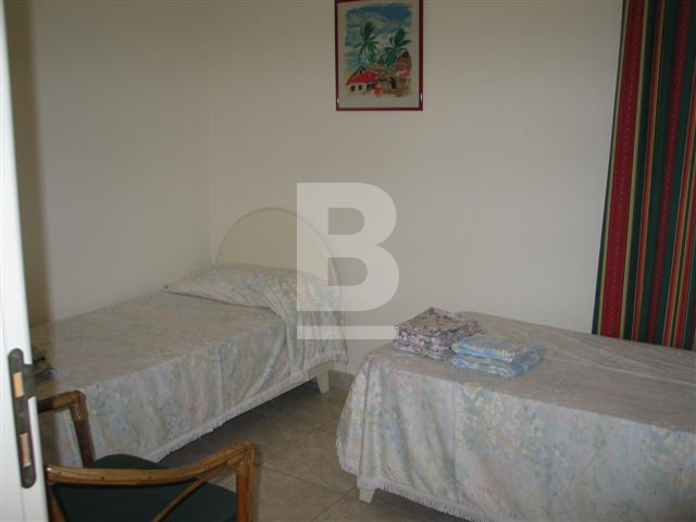 P_132473_Cycads_4_Twin_Bedded_Ro