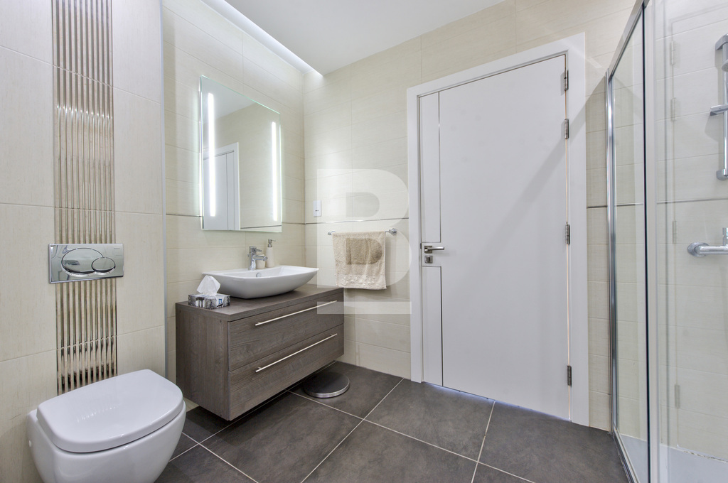 P_301538_E2-1201_Main_Bathroom_p