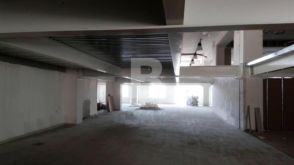 P_132880_Level_0_-_365sqm.jpg
