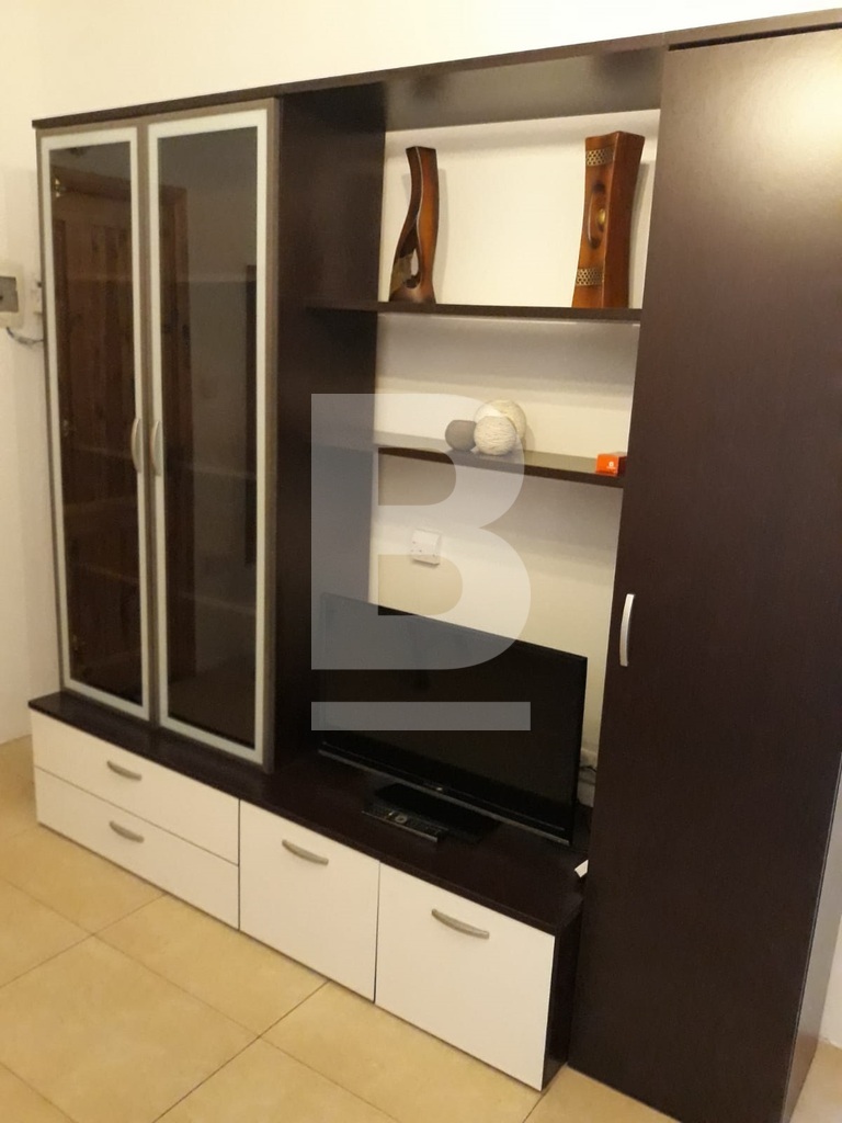 P_801576_wall_unit_and_tv.jpg